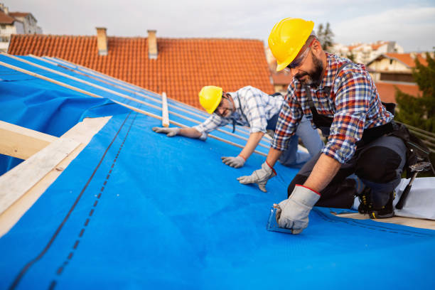 Best Flat Roof Repair Services  in Forest City, IA