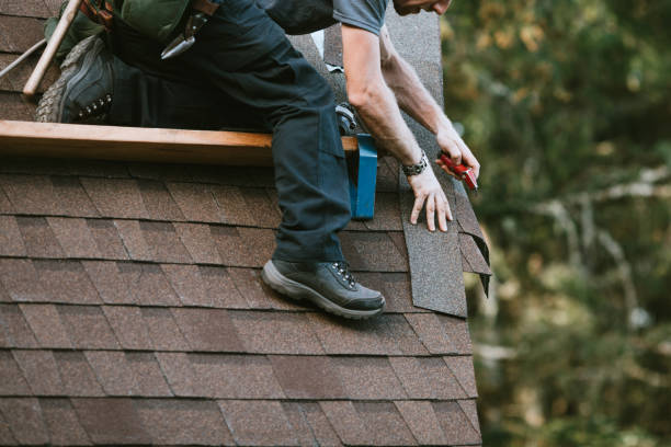 Best Residential Roof Replacement  in Forest City, IA